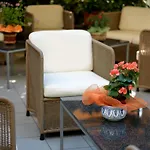 Hotel Acasamia Welchome 3*