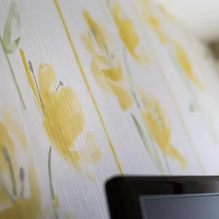 阿卡萨米亚韦尔康酒店 酒店 里米尼