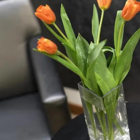 阿卡萨米亚韦尔康酒店 酒店 里米尼