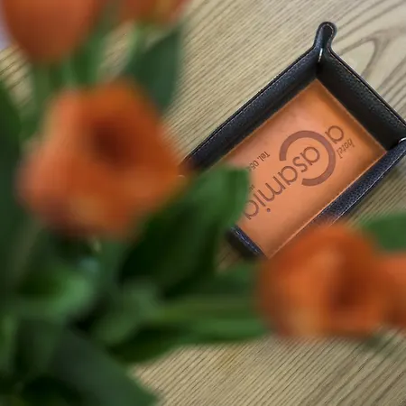 Acasamia Welchome Rimini