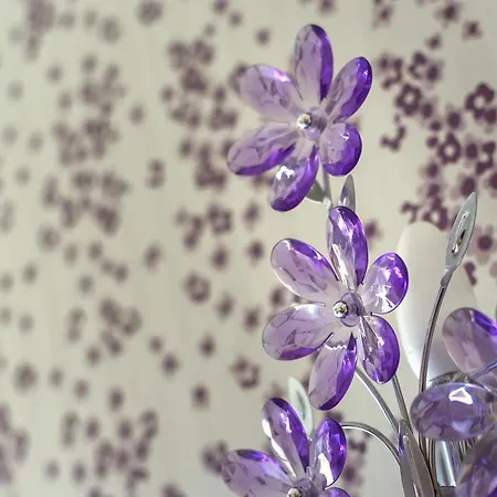 阿卡萨米亚韦尔康酒店 3* 里米尼