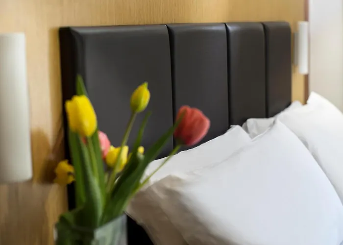 Hotell Acasamia Welchome