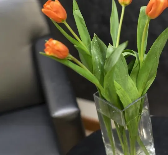 Acasamia Welchome Hotel Rimini